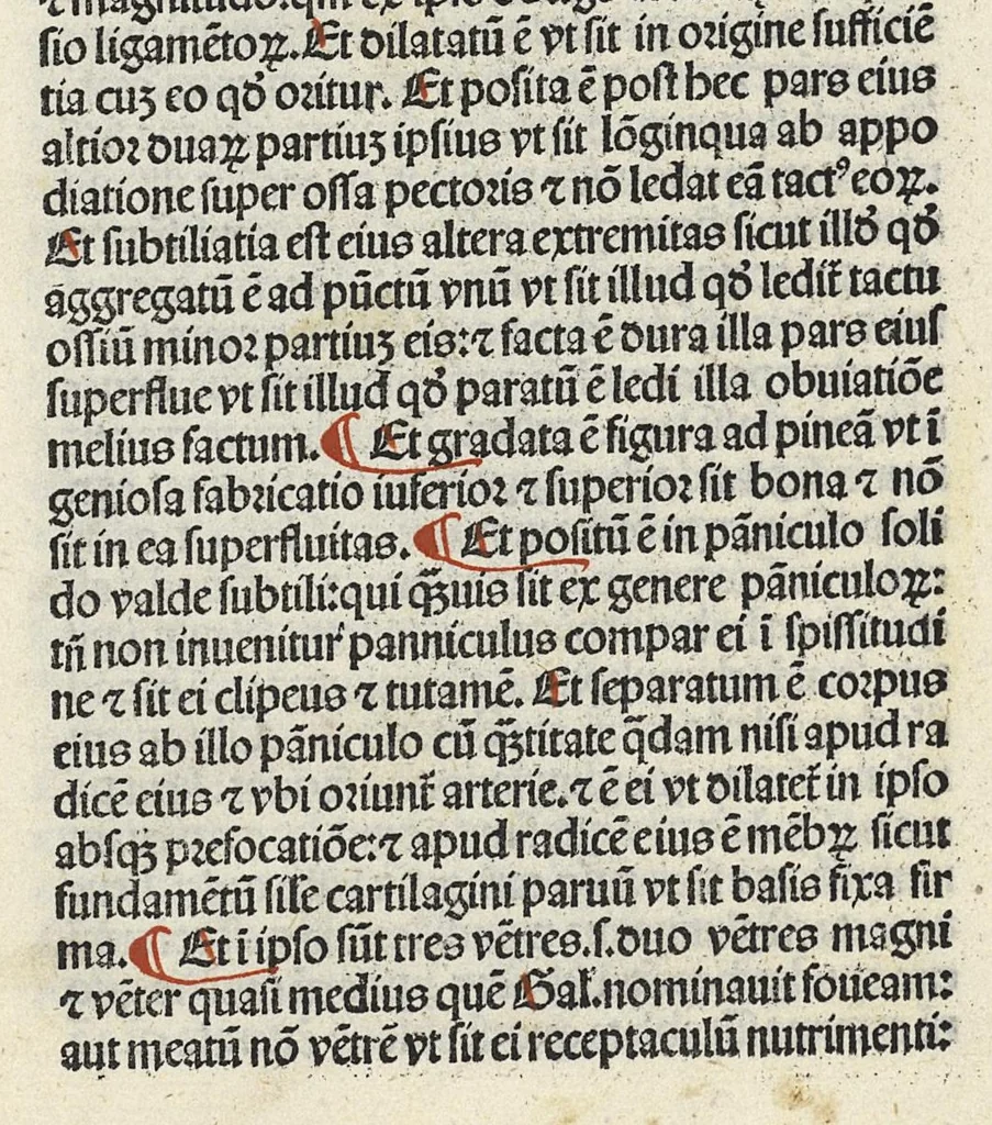An illustration from Liber canonis primus [-quintus] quem princeps aboali abincenni de medicine edidit : translatum a magistro Gerardo cremonensi in Toledo ab arabico in latinum, leaf 405