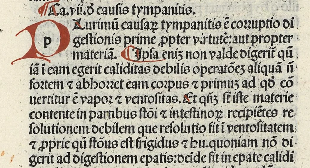 An illustration from Liber canonis primus [-quintus] quem princeps aboali abincenni de medicine edidit : translatum a magistro Gerardo cremonensi in Toledo ab arabico in latinum, leaf 473