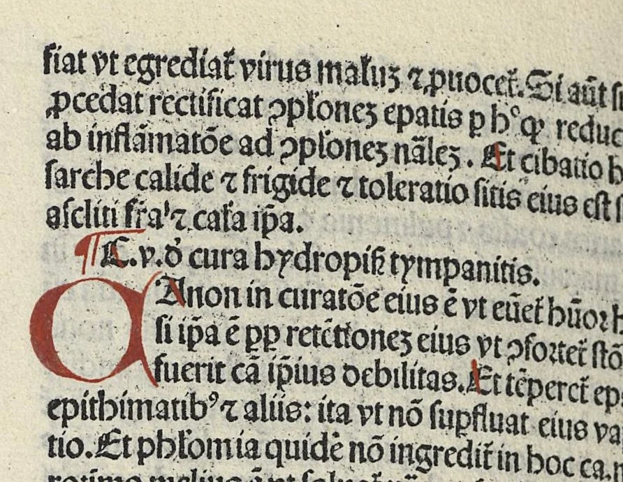 An illustration from Liber canonis primus [-quintus] quem princeps aboali abincenni de medicine edidit : translatum a magistro Gerardo cremonensi in Toledo ab arabico in latinum, leaf 479