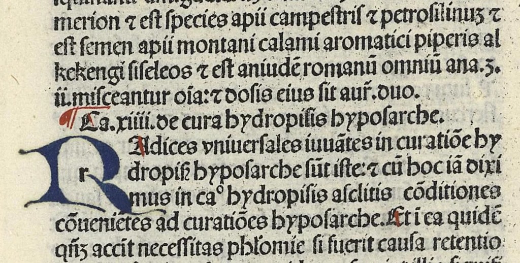An illustration from Liber canonis primus [-quintus] quem princeps aboali abincenni de medicine edidit : translatum a magistro Gerardo cremonensi in Toledo ab arabico in latinum, leaf 479
