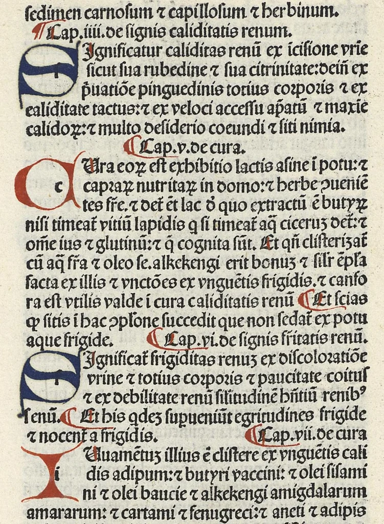 An illustration from Liber canonis primus [-quintus] quem princeps aboali abincenni de medicine edidit : translatum a magistro Gerardo cremonensi in Toledo ab arabico in latinum, leaf 529