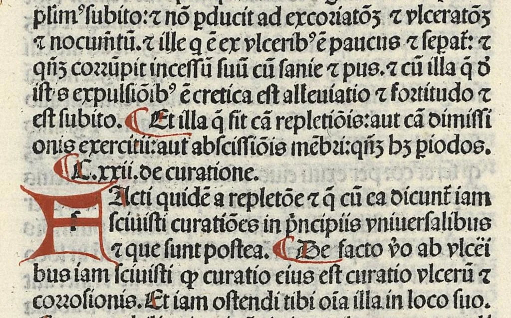 An illustration from Liber canonis primus [-quintus] quem princeps aboali abincenni de medicine edidit : translatum a magistro Gerardo cremonensi in Toledo ab arabico in latinum, leaf 551