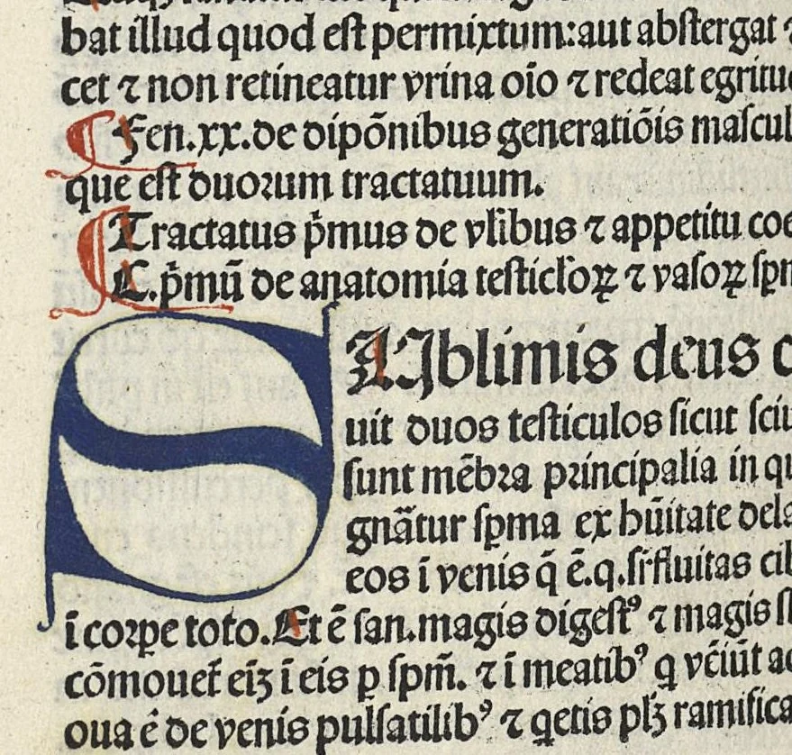 An illustration from Liber canonis primus [-quintus] quem princeps aboali abincenni de medicine edidit : translatum a magistro Gerardo cremonensi in Toledo ab arabico in latinum, leaf 551
