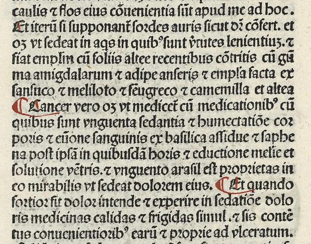 An illustration from Liber canonis primus [-quintus] quem princeps aboali abincenni de medicine edidit : translatum a magistro Gerardo cremonensi in Toledo ab arabico in latinum, leaf 589