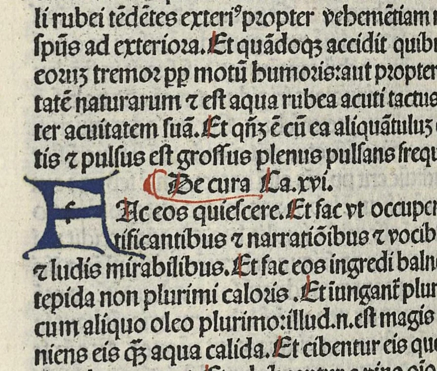 An illustration from Liber canonis primus [-quintus] quem princeps aboali abincenni de medicine edidit : translatum a magistro Gerardo cremonensi in Toledo ab arabico in latinum, leaf 617