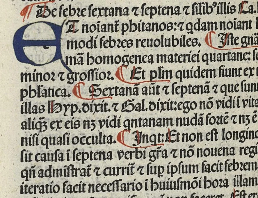 An illustration from Liber canonis primus [-quintus] quem princeps aboali abincenni de medicine edidit : translatum a magistro Gerardo cremonensi in Toledo ab arabico in latinum, leaf 645