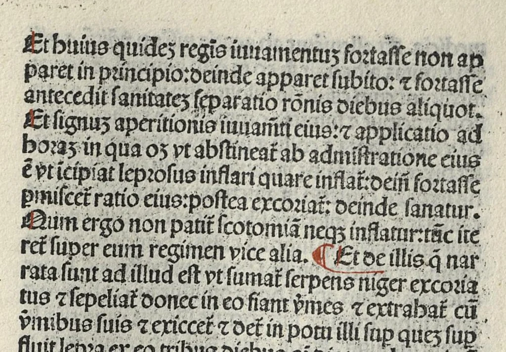 An illustration from Liber canonis primus [-quintus] quem princeps aboali abincenni de medicine edidit : translatum a magistro Gerardo cremonensi in Toledo ab arabico in latinum, leaf 694