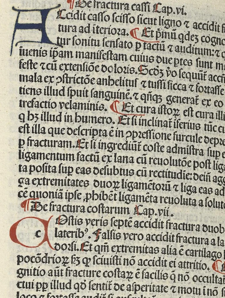 An illustration from Liber canonis primus [-quintus] quem princeps aboali abincenni de medicine edidit : translatum a magistro Gerardo cremonensi in Toledo ab arabico in latinum, leaf 733