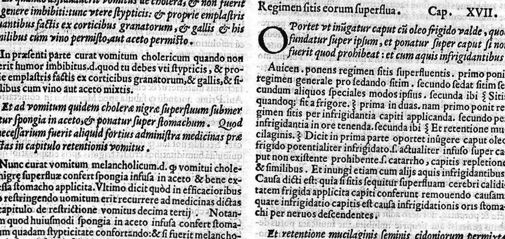 An illustration from Joannis Herculani in Avicennae quarti canonis fen in qua de febribus agitur, ... explicatio..., 1560, leaf 162