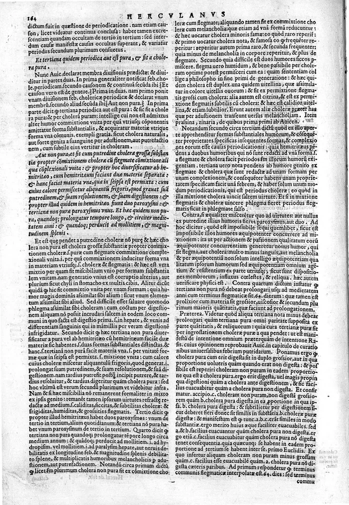 An illustration from Joannis Herculani in Avicennae quarti canonis fen in qua de febribus agitur, ... explicatio..., 1560, leaf 171