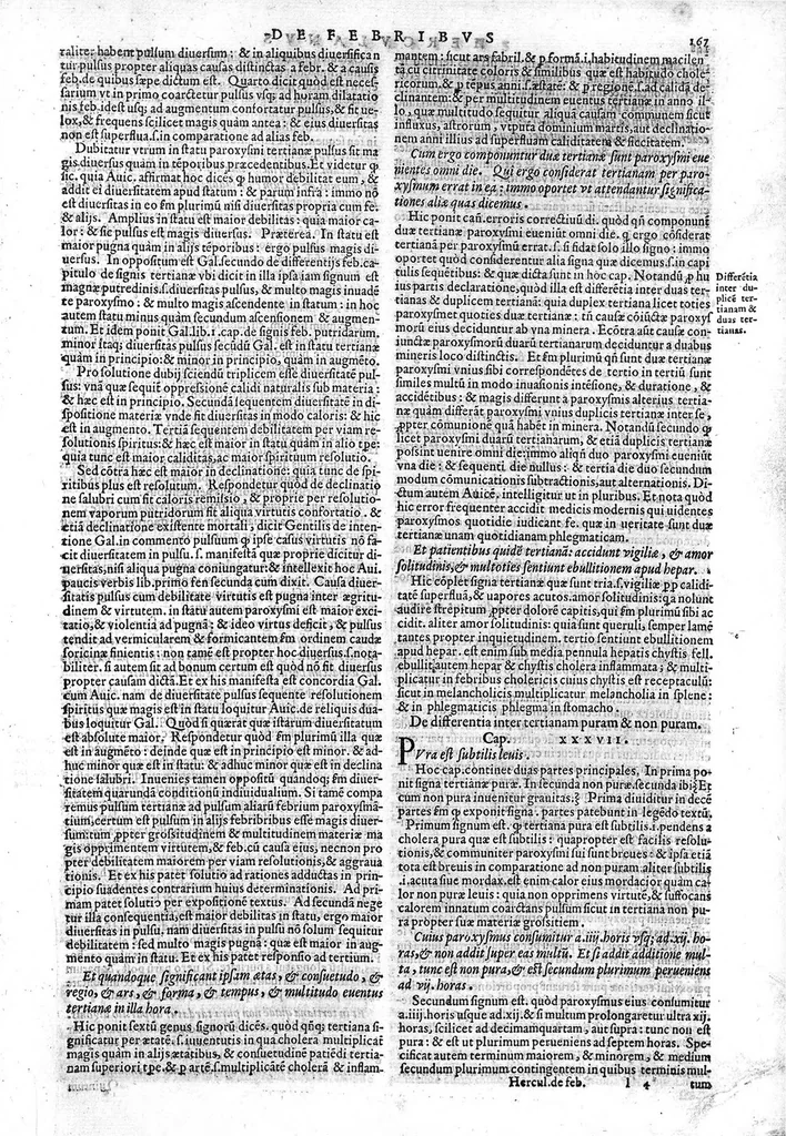 An illustration from Joannis Herculani in Avicennae quarti canonis fen in qua de febribus agitur, ... explicatio..., 1560, leaf 174