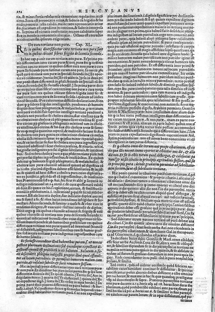 An illustration from Joannis Herculani in Avicennae quarti canonis fen in qua de febribus agitur, ... explicatio..., 1560, leaf 181
