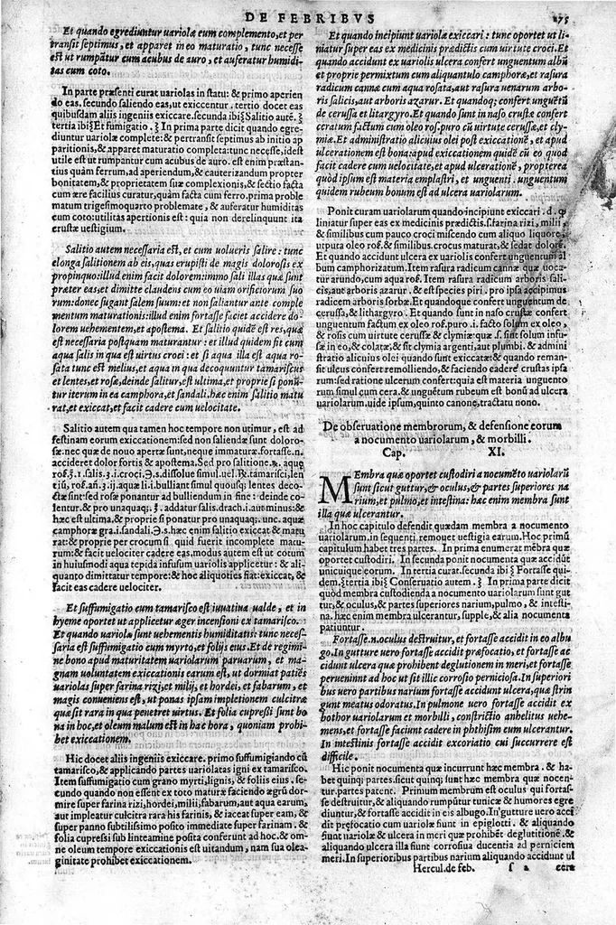 An illustration from Joannis Herculani in Avicennae quarti canonis fen in qua de febribus agitur, ... explicatio..., 1560, leaf 282