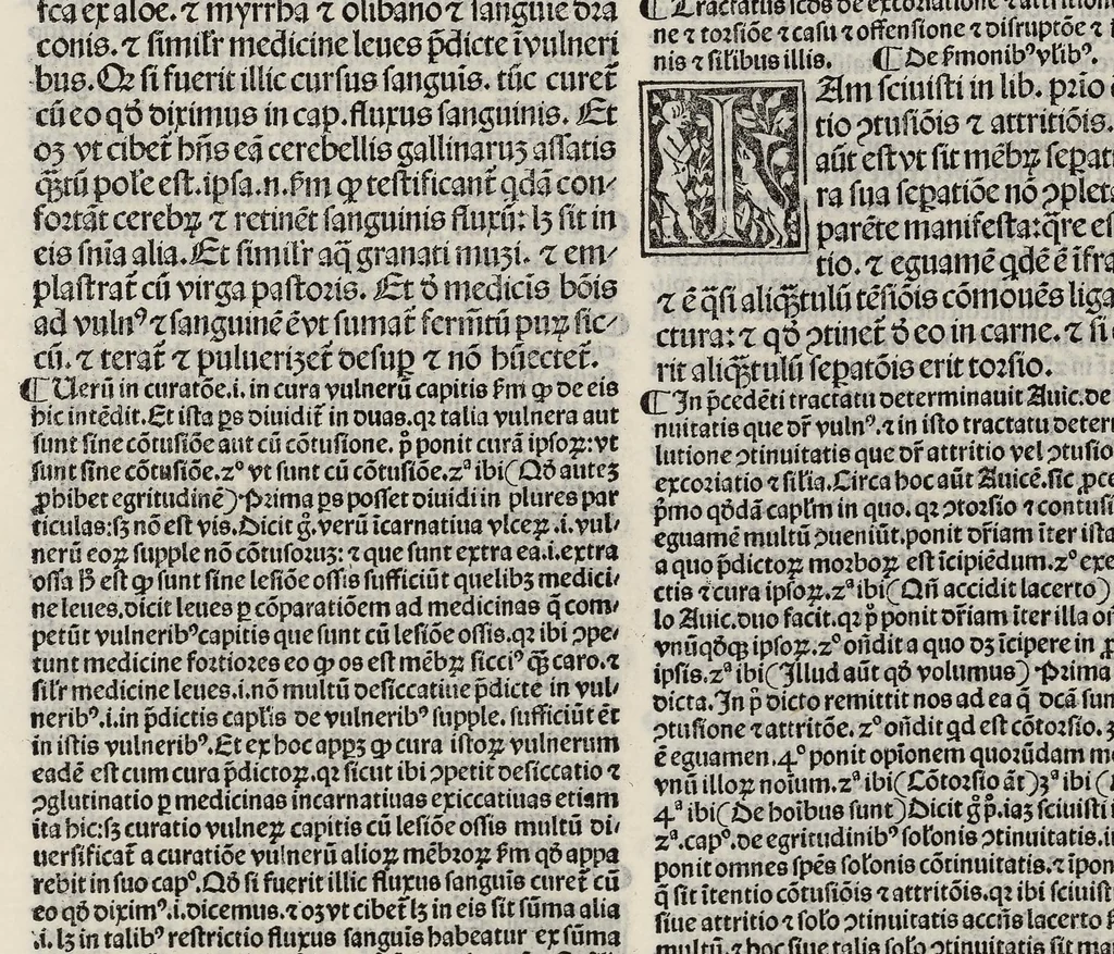 An illustration from Comm. Avicenne Canon IV 3-5, leaf 157