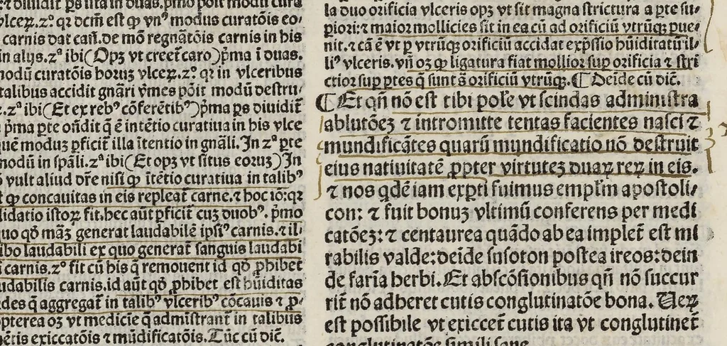 An illustration from Comm. Avicenne Canon IV 3-5, leaf 208