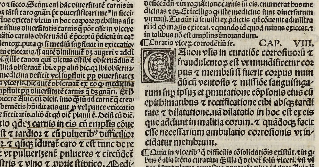 An illustration from Comm. Avicenne Canon IV 3-5, leaf 210