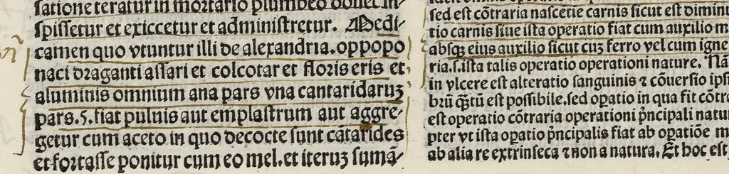 An illustration from Comm. Avicenne Canon IV 3-5, leaf 217