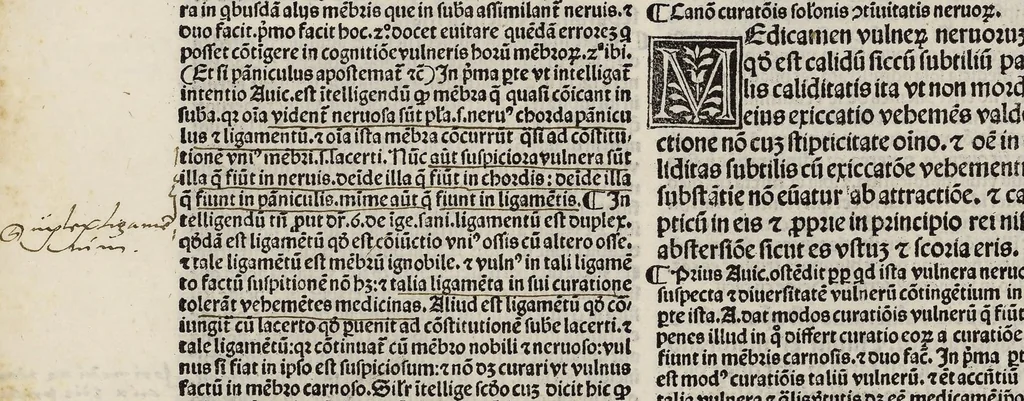An illustration from Comm. Avicenne Canon IV 3-5, leaf 225