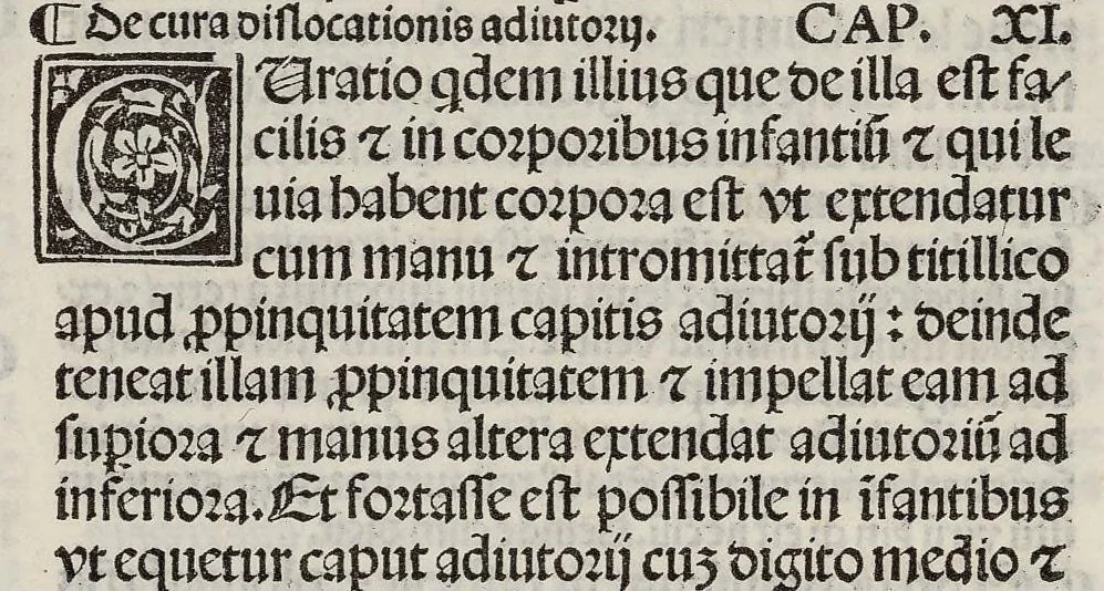 An illustration from Comm. Avicenne Canon IV 3-5, leaf 244