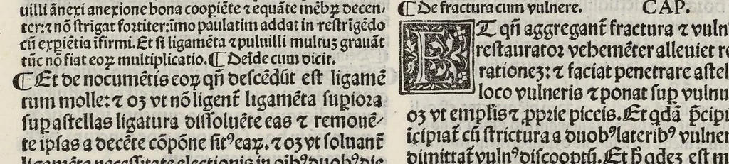 An illustration from Comm. Avicenne Canon IV 3-5, leaf 261