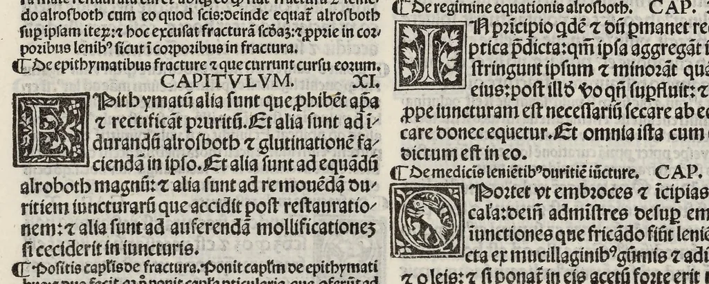 An illustration from Comm. Avicenne Canon IV 3-5, leaf 263