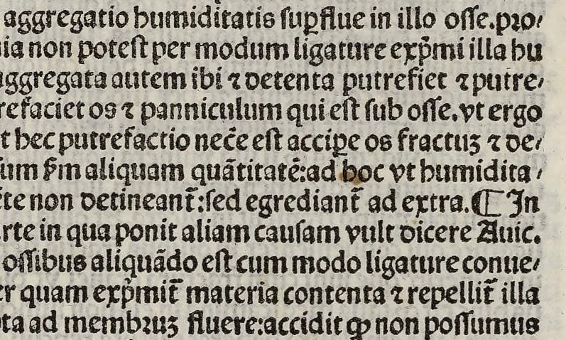 An illustration from Comm. Avicenne Canon IV 3-5, leaf 276