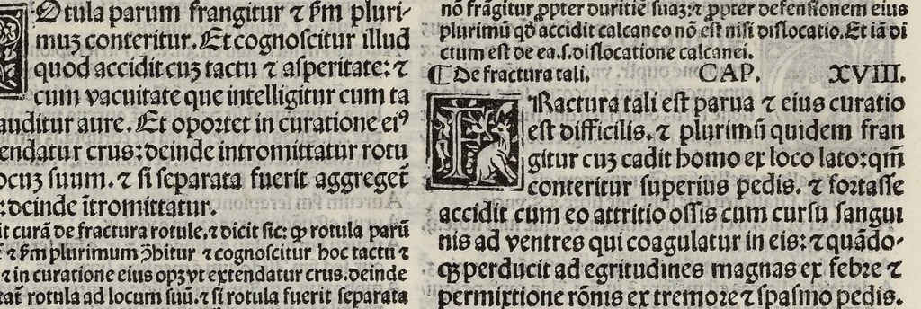 An illustration from Comm. Avicenne Canon IV 3-5, leaf 294