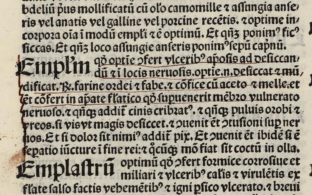 An illustration from Comm. Avicenne Canon IV 3-5, leaf 301