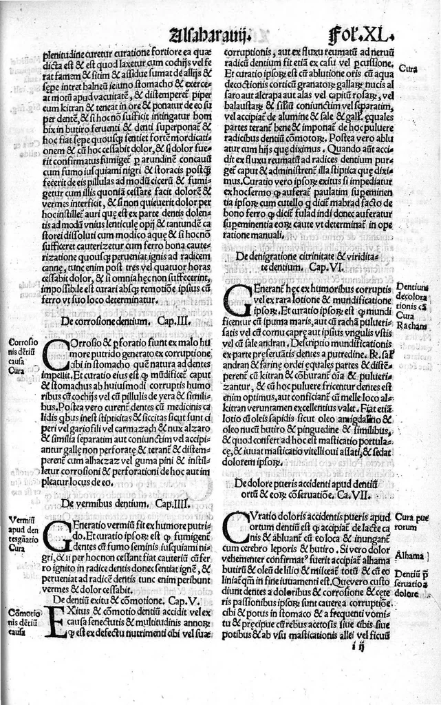 An illustration from Liber theoricae necnon practicae Alsaharavii in prisco Arabum Medicorum conventu facile principis..., 1519, leaf 110