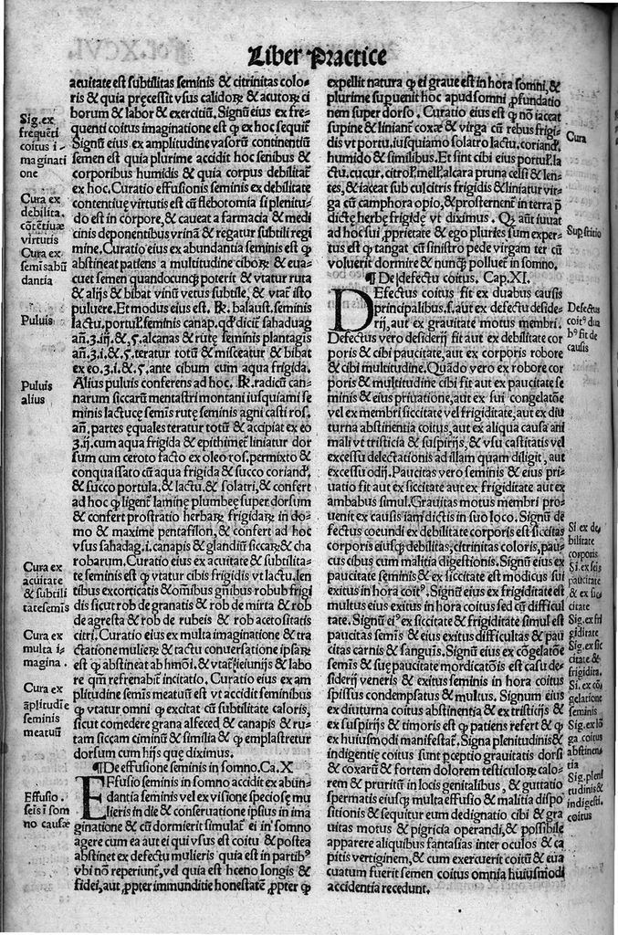 An illustration from Liber theoricae necnon practicae Alsaharavii in prisco Arabum Medicorum conventu facile principis..., 1519, leaf 203