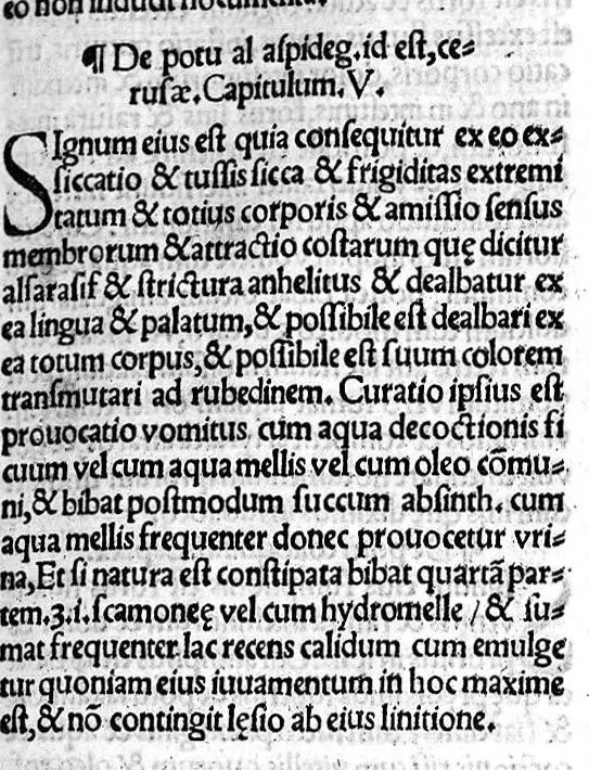 An illustration from Liber theoricae necnon practicae Alsaharavii in prisco Arabum Medicorum conventu facile principis..., 1519, leaf 268