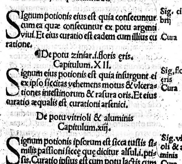 An illustration from Liber theoricae necnon practicae Alsaharavii in prisco Arabum Medicorum conventu facile principis..., 1519, leaf 268