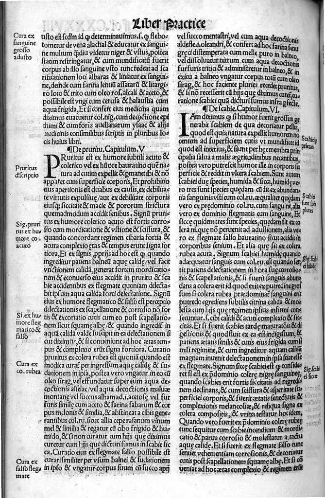 An illustration from Liber theoricae necnon practicae Alsaharavii in prisco Arabum Medicorum conventu facile principis..., 1519, leaf 287