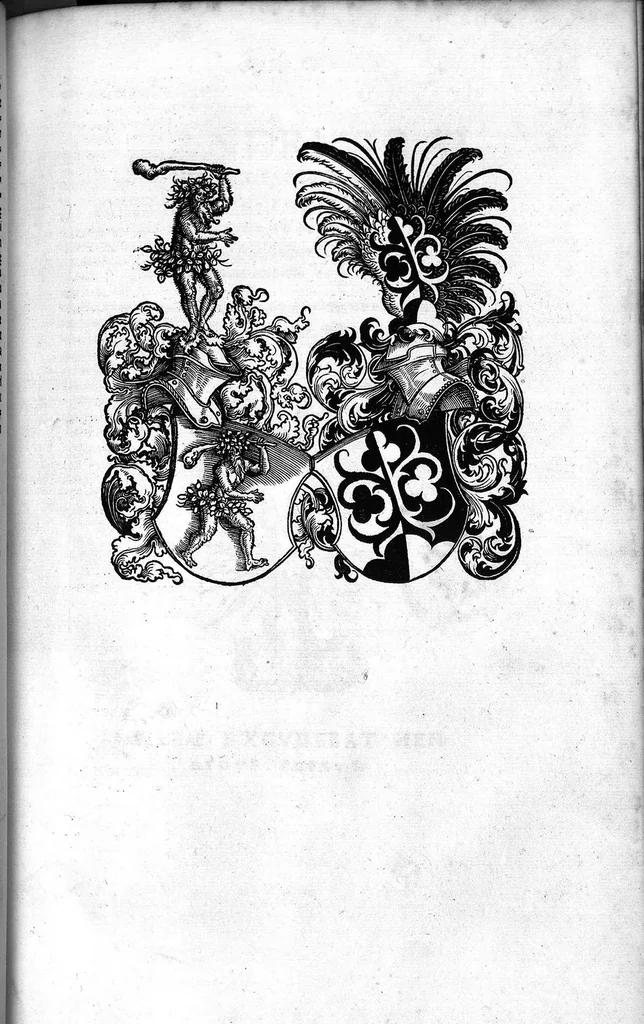An illustration from Liber theoricae necnon practicae Alsaharavii in prisco Arabum Medicorum conventu facile principis..., 1519, leaf 330