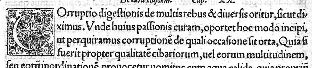 An illustration from Constantini Africani post Hippocratem et Galenum, quorum, Graece linguae doctus, sedulus suit lector, medicorum nulli prorsus, multis doctissimis testibus, posthabendi opera, conquisita undiq(ue) magno studio ..., 1536, leaf 259