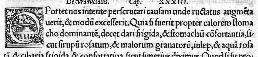 An illustration from Constantini Africani post Hippocratem et Galenum, quorum, Graece linguae doctus, sedulus suit lector, medicorum nulli prorsus, multis doctissimis testibus, posthabendi opera, conquisita undiq(ue) magno studio ..., 1536, leaf 277