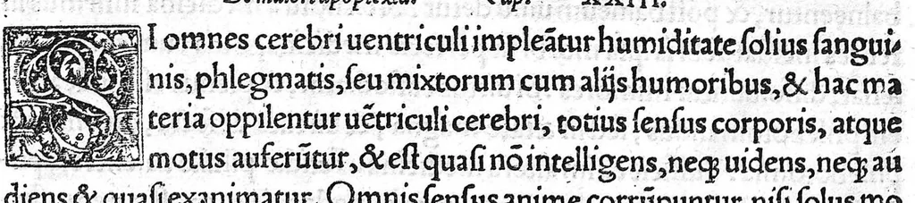 An illustration from Constantini Africani post Hippocratem et Galenum, quorum, Graece linguae doctus, sedulus suit lector, medicorum nulli prorsus, multis doctissimis testibus, posthabendi opera, conquisita undiq(ue) magno studio ..., 1536, leaf 36