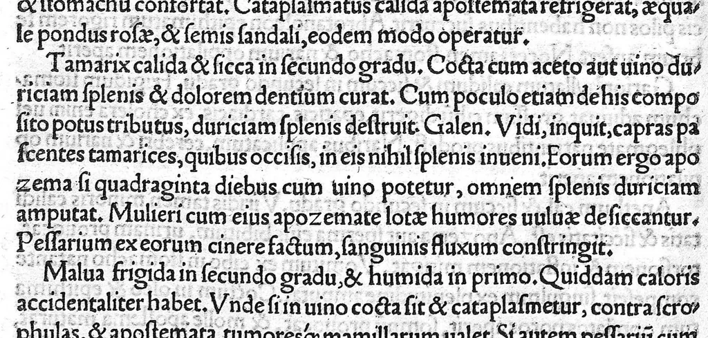 An illustration from Constantini Africani post Hippocratem et Galenum, quorum, Graece linguae doctus, sedulus suit lector, medicorum nulli prorsus, multis doctissimis testibus, posthabendi opera, conquisita undiq(ue) magno studio ..., 1536, leaf 379