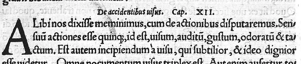 An illustration from Summi in omni philosophia uiri Constantini Africani medici operum reliqua, hactenus desiderata, nuncq[ue] primum impressa ex uenerandæ antiquitatis exemplari, quod nunc demum est inuentum. In quibus omnes communes loci, qui propriè Theorices sunt, ita explicantur & tractantur, ut medicum futurum optimè formare & perficere possint: Quaecun[que] enim Galenus iustò fusius habet clara & docta breuitate perstringit, & apud Hippocratem obscurioribus mirabilem lucem addit, disciplinarum omnium, precipuè dialectices praesidijs instructissimus autor, 1539, leaf 168
