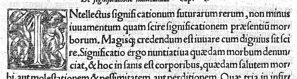 An illustration from Summi in omni philosophia uiri Constantini Africani medici operum reliqua, hactenus desiderata, nuncq[ue] primum impressa ex uenerandæ antiquitatis exemplari, quod nunc demum est inuentum. In quibus omnes communes loci, qui propriè Theorices sunt, ita explicantur & tractantur, ut medicum futurum optimè formare & perficere possint: Quaecun[que] enim Galenus iustò fusius habet clara & docta breuitate perstringit, & apud Hippocratem obscurioribus mirabilem lucem addit, disciplinarum omnium, precipuè dialectices praesidijs instructissimus autor, 1539, leaf 322