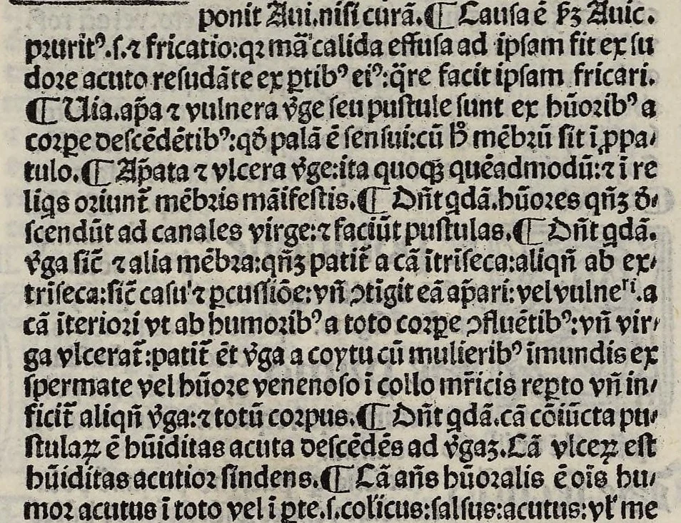 An illustration from Excellentissimi medici Guilielmi Brixiensis aggregatoris dictorum illustrium medicorum ad unamquamque egritudinem a capite ad pedes practica, nunc primum ad communem usum edita et impressa. Ejusdem de febribus tractatus optimus, de peste, de consilio observando tempore pestilentiali, ac etiam de cura pestis tractatus perspicuus ejusdem, 1508, leaf 254