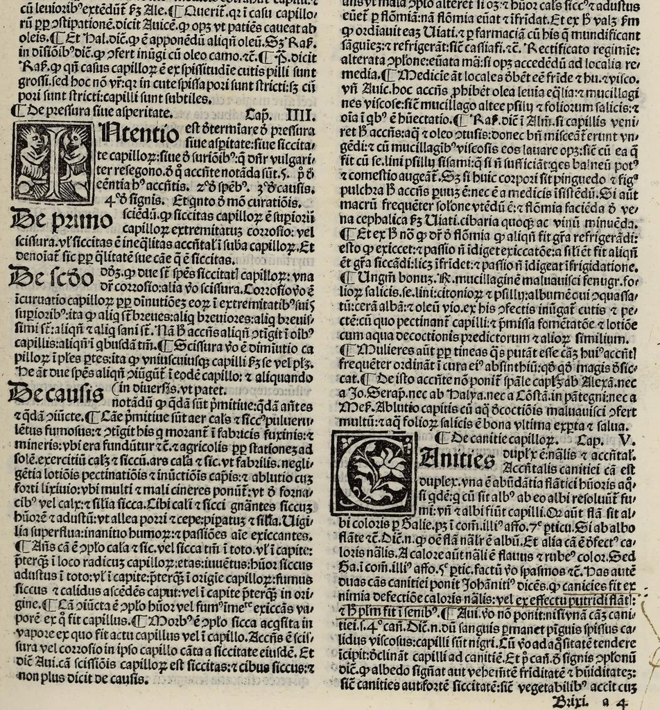 An illustration from Excellentissimi medici Guilielmi Brixiensis aggregatoris dictorum illustrium medicorum ad unamquamque egritudinem a capite ad pedes practica, nunc primum ad communem usum edita et impressa. Ejusdem de febribus tractatus optimus, de peste, de consilio observando tempore pestilentiali, ac etiam de cura pestis tractatus perspicuus ejusdem, 1508, leaf 5