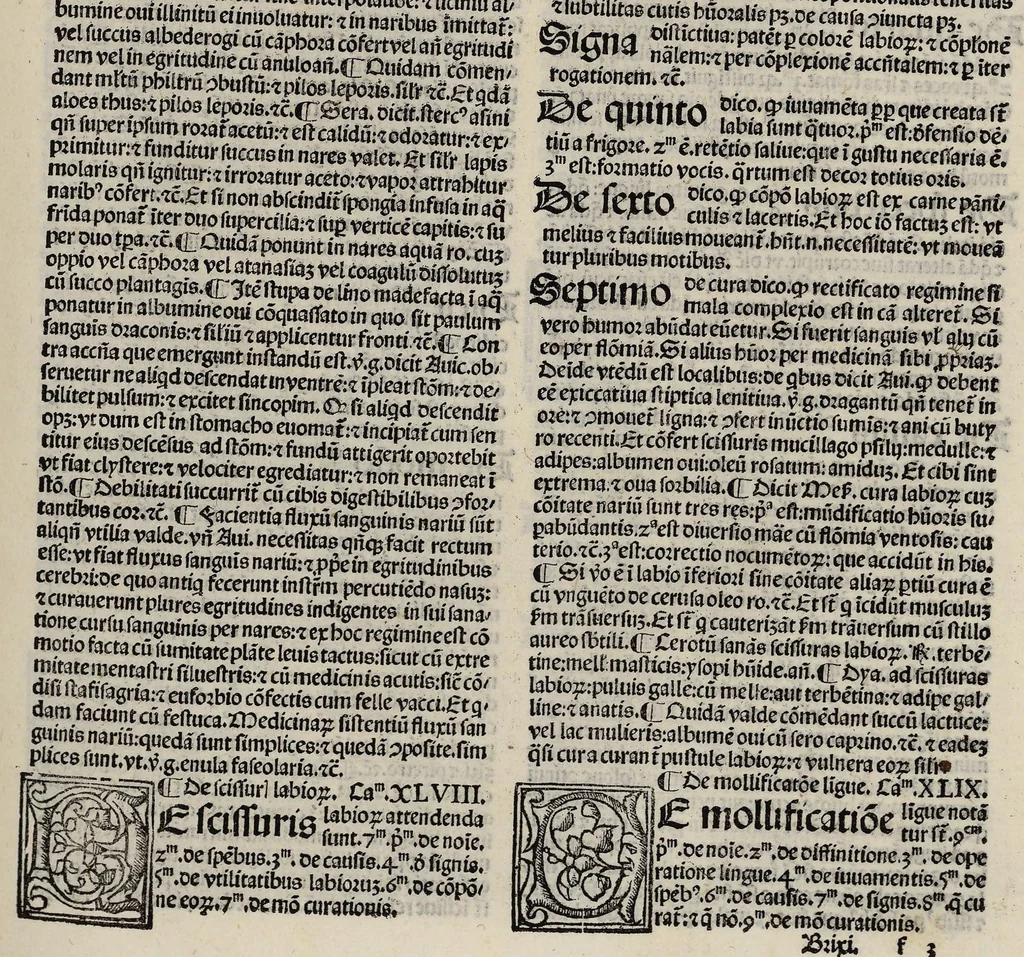 An illustration from Excellentissimi medici Guilielmi Brixiensis aggregatoris dictorum illustrium medicorum ad unamquamque egritudinem a capite ad pedes practica, nunc primum ad communem usum edita et impressa. Ejusdem de febribus tractatus optimus, de peste, de consilio observando tempore pestilentiali, ac etiam de cura pestis tractatus perspicuus ejusdem, 1508, leaf 83