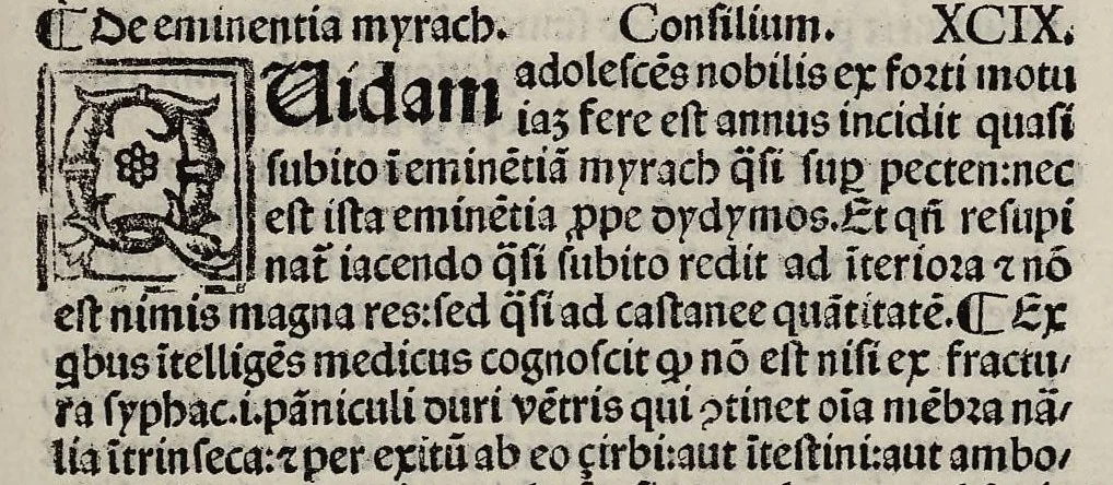 An illustration from Consilia Ugonis Senensis saluberrima omnes egritudines, noviter correcta et ad optimum ordinem redacta, additis multis prius non impressis ejusdem nuper inventis, nonnullisque aliis utilissimis consiliis, 1518, leaf 157