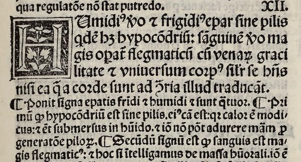 An illustration from Expositio Ugonis Senensis super libros Tegni Galieni, leaf 81