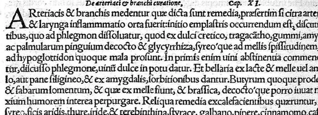 An illustration from De remedica opus insigne, 1549, leaf 175