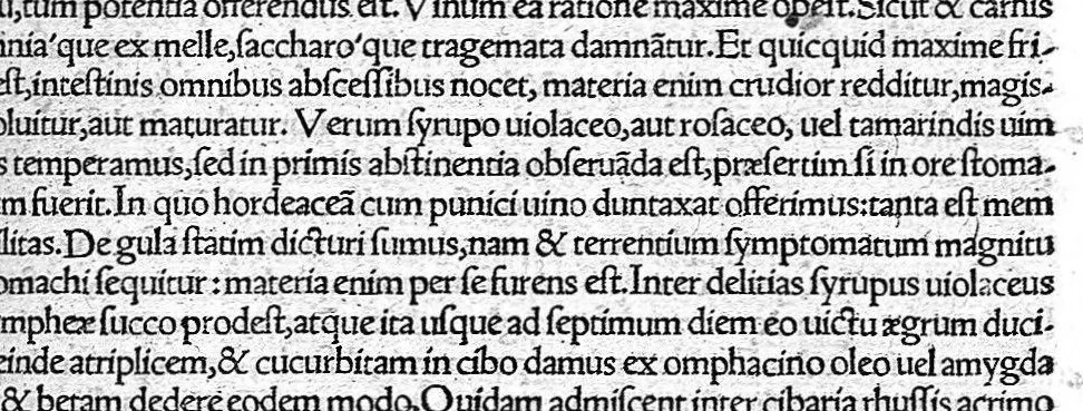 An illustration from De remedica opus insigne, 1549, leaf 248