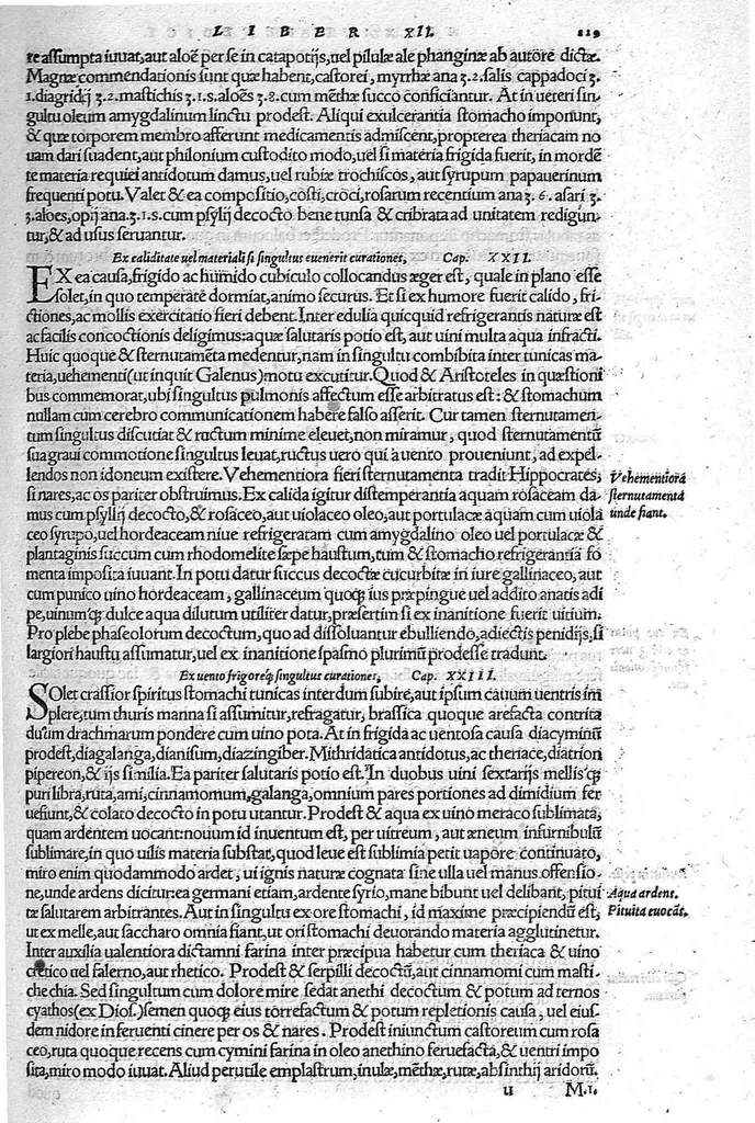 An illustration from De remedica opus insigne, 1549, leaf 256