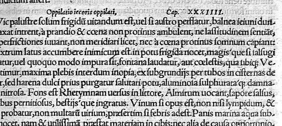 An illustration from De remedica opus insigne, 1549, leaf 296