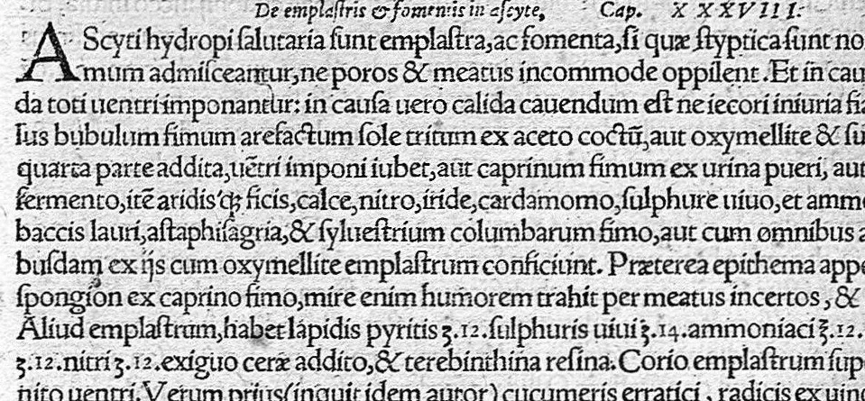 An illustration from De remedica opus insigne, 1549, leaf 321